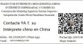 Traductor Chino Español En Xiamen Fujian China