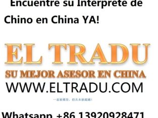 Interprete Chino Español En Tianjin China